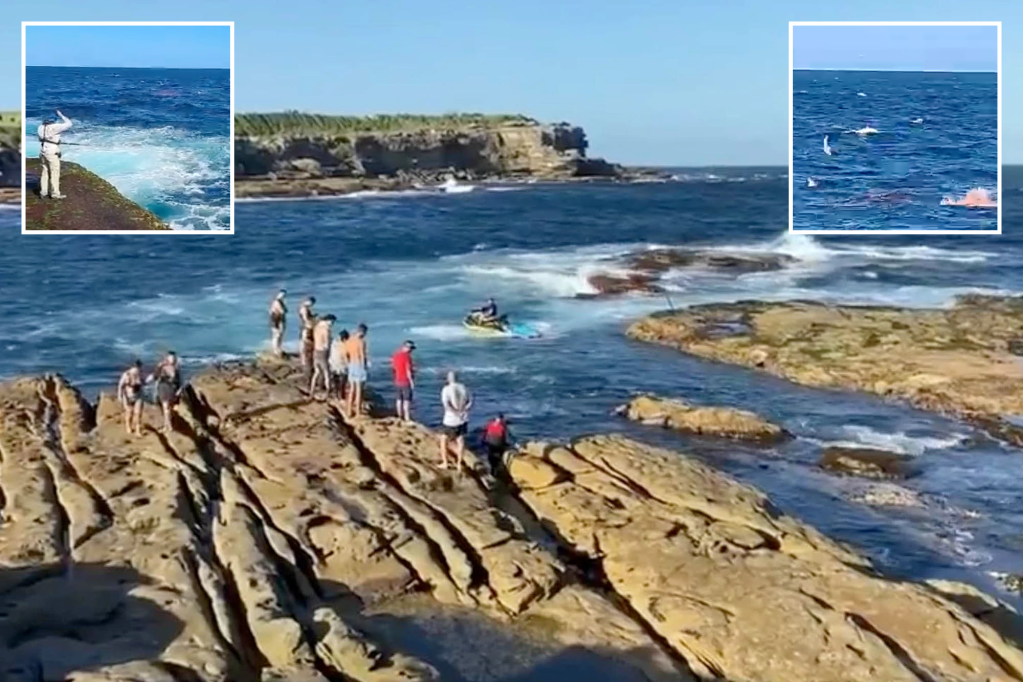 オーストラリアでの致命的なサメの襲撃により、シドニーのビーチが閉鎖されました