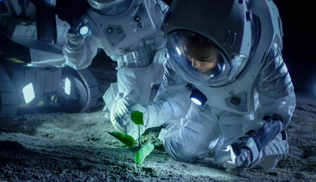 科学者は月の土壌で植物を育てます-人類の歴史上初めて