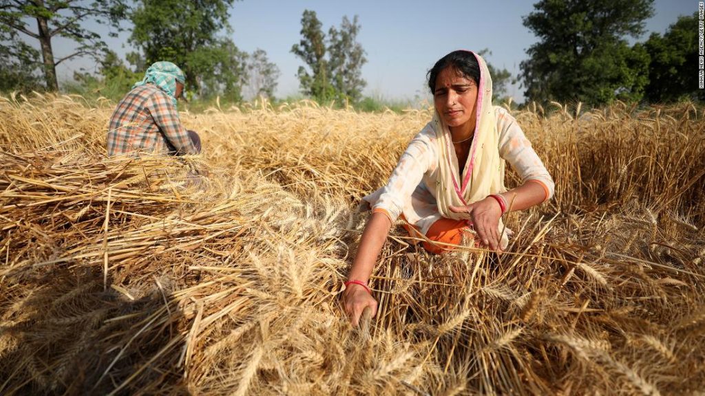 インドの小麦輸出禁止：世界的な食糧危機の解決を支援するという申し出を撤回した理由