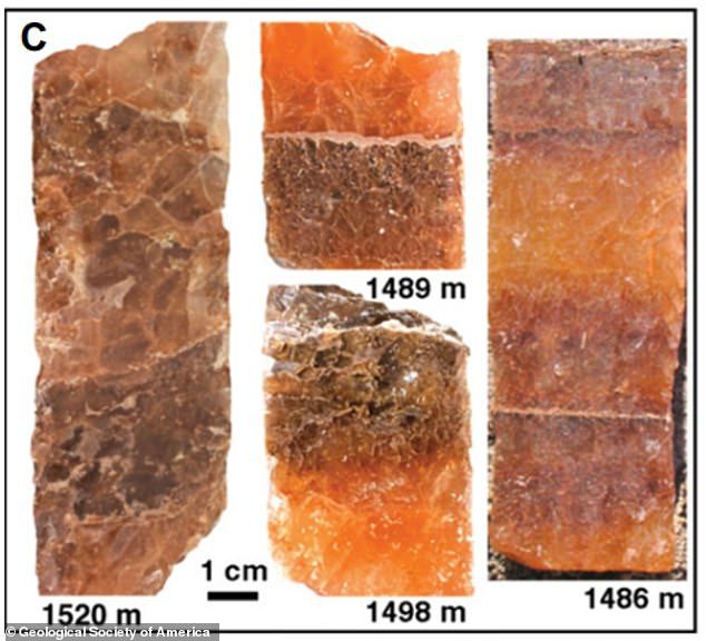 微生物を含む結晶が見つかった、8億3000万年前のブラウン層からのパッド入り岩塩コアスラブの画像