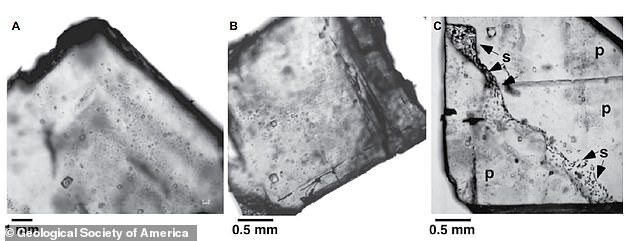 生物は、結晶内の流体包有物内に見られ、小さなコロニーが繁殖するための微小生息地として機能することができます。 写真：岩塩中の液体包有物