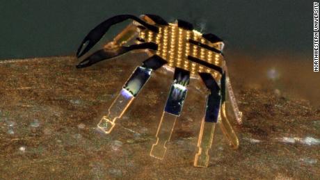 北西部のエンジニアは、世界最小の遠隔操作移動ロボットを作成します 