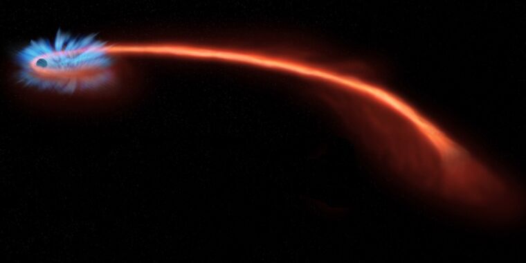 偏光はブラックホールによって「スパゲッティ」星の最終的な運命を明らかにします