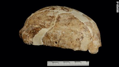 写真は、中国雲南省の馬鹿洞人から発見された頭蓋骨です。 