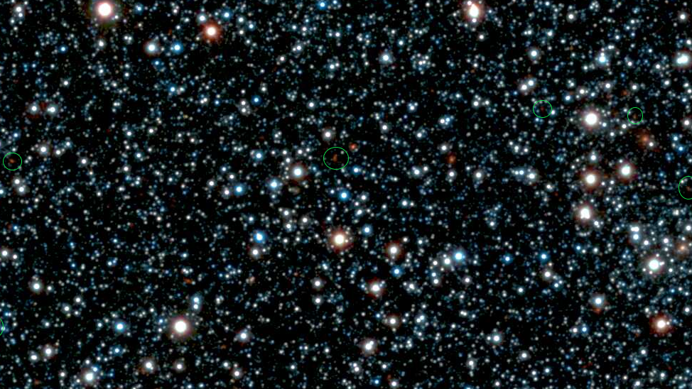 a field of stars and galaxies