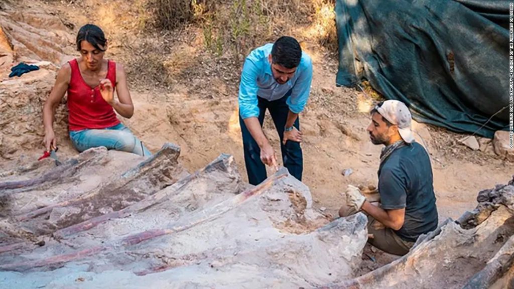 ポルトガルの裏庭で恐竜の檻を発見