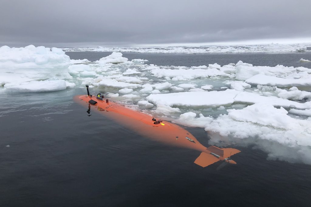 今年初め、国際的な科学者グループが、侵食を食い止めるために氷河の調査を試みました。