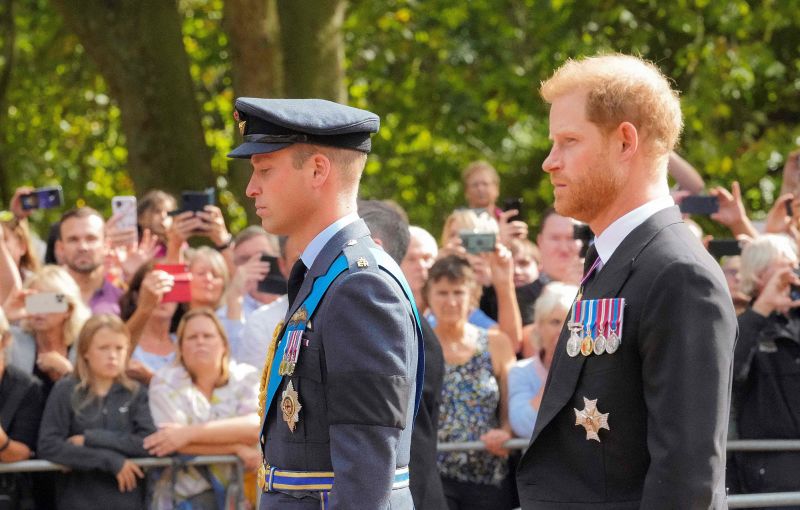 ハリー王子とアンドリュー王子は、女王の葬列中に軍服を着ないのはなぜですか