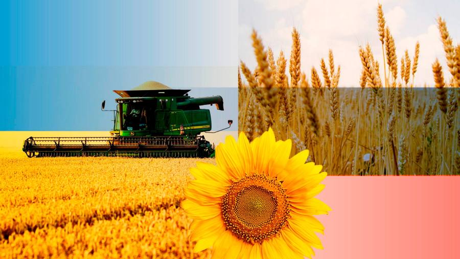 ライブニュースの更新：ロシアとウクライナが穀物協定の延長に合意する寸前